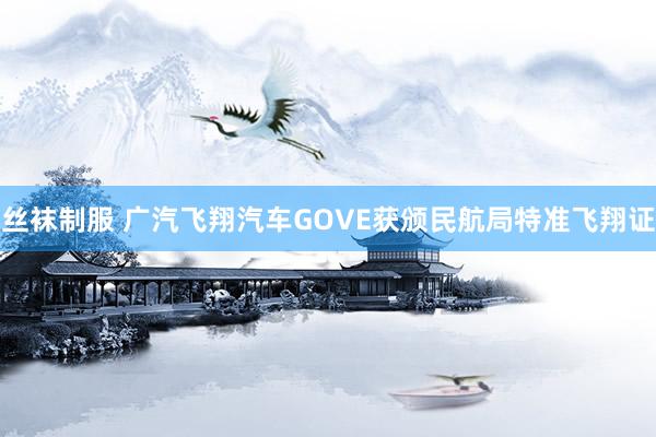 丝袜制服 广汽飞翔汽车GOVE获颁民航局特准飞翔证