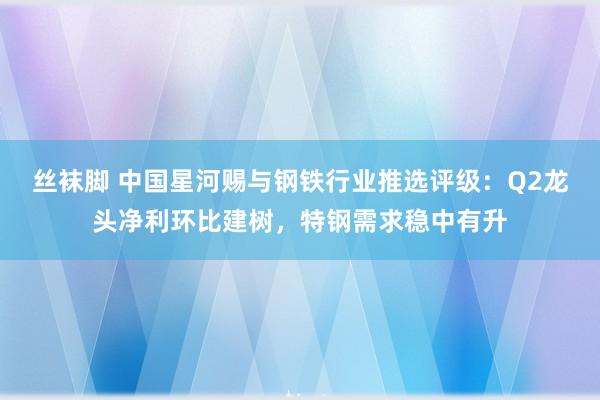 丝袜脚 中国星河赐与钢铁行业推选评级：Q2龙头净利环比建树，特钢需求稳中有升