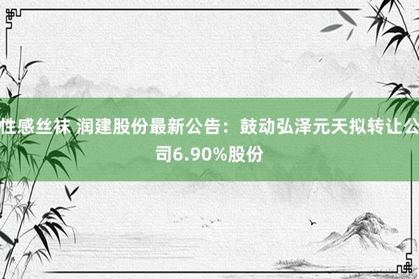 性感丝袜 润建股份最新公告：鼓动弘泽元天拟转让公司6.90%股份