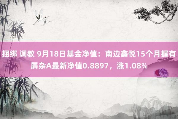 捆绑 调教 9月18日基金净值：南边鑫悦15个月握有羼杂A最新净值0.8897，涨1.08%