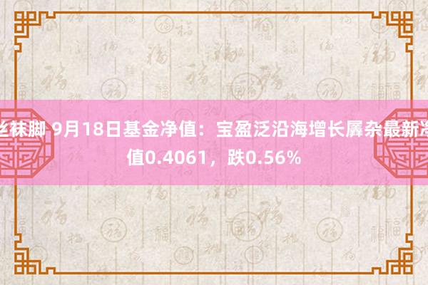 丝袜脚 9月18日基金净值：宝盈泛沿海增长羼杂最新净值0.4061，跌0.56%