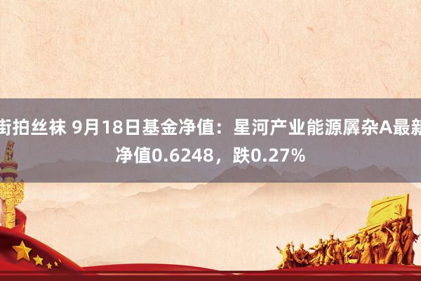 街拍丝袜 9月18日基金净值：星河产业能源羼杂A最新净值0.6248，跌0.27%