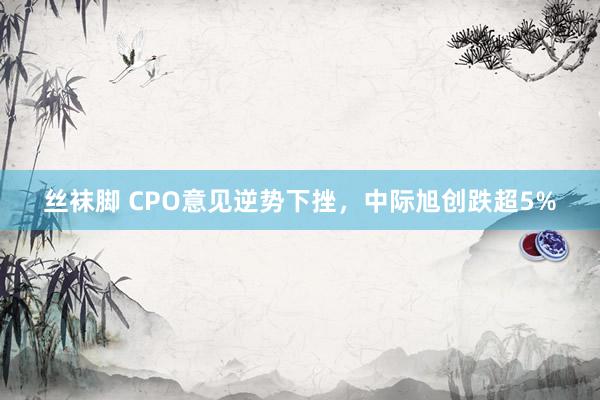 丝袜脚 CPO意见逆势下挫，中际旭创跌超5%