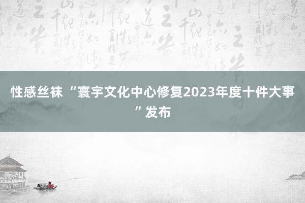 性感丝袜 “寰宇文化中心修复2023年度十件大事”发布