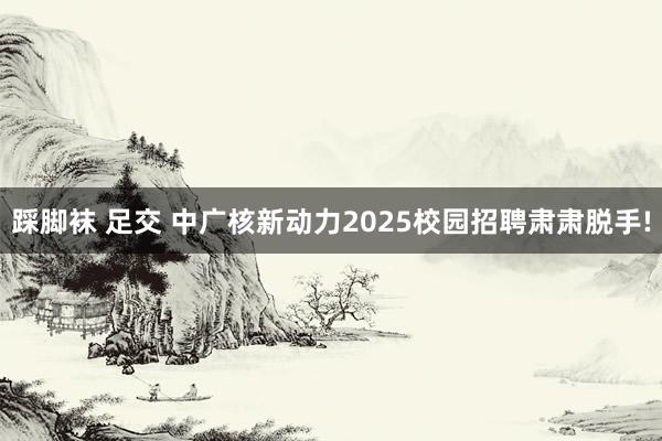 踩脚袜 足交 中广核新动力2025校园招聘肃肃脱手!