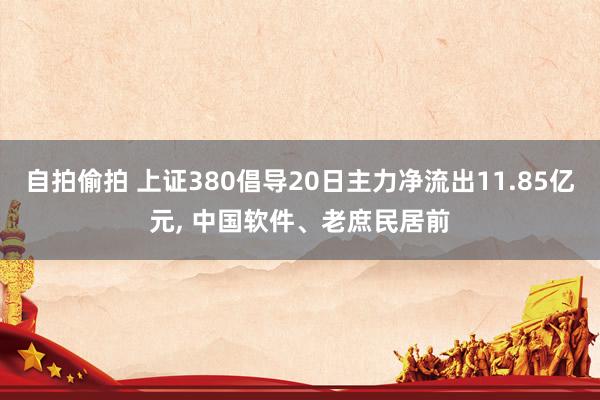 自拍偷拍 上证380倡导20日主力净流出11.85亿元， 中国软件、老庶民居前