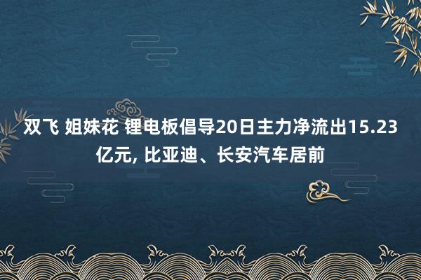 双飞 姐妹花 锂电板倡导20日主力净流出15.23亿元, 比亚迪、长安汽车居前