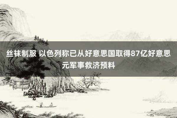 丝袜制服 以色列称已从好意思国取得87亿好意思元军事救济预料