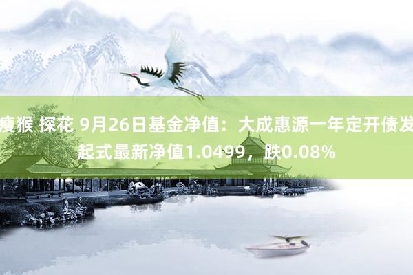 瘦猴 探花 9月26日基金净值：大成惠源一年定开债发起式最新净值1.0499，跌0.08%