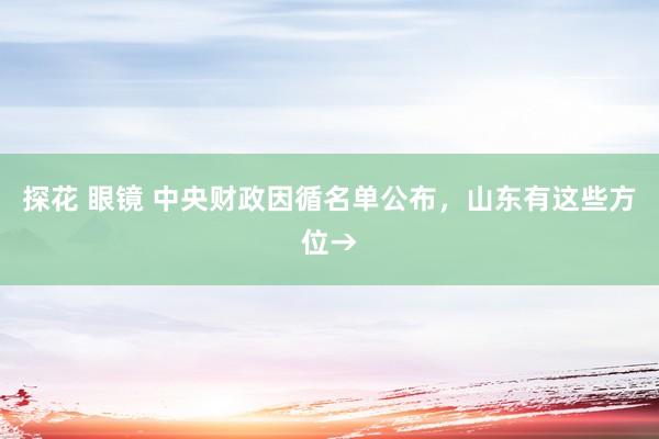 探花 眼镜 中央财政因循名单公布，山东有这些方位→