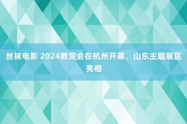 丝袜电影 2024数贸会在杭州开幕，山东主题展区亮相