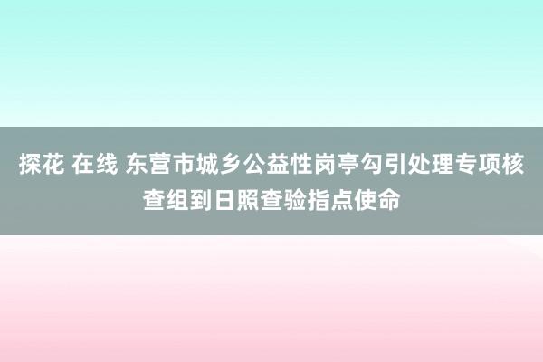 探花 在线 东营市城乡公益性岗亭勾引处理专项核查组到日照查验指点使命