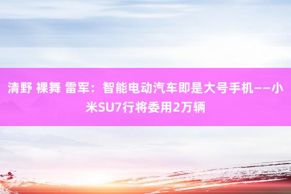 清野 裸舞 雷军：智能电动汽车即是大号手机——小米SU7行将委用2万辆