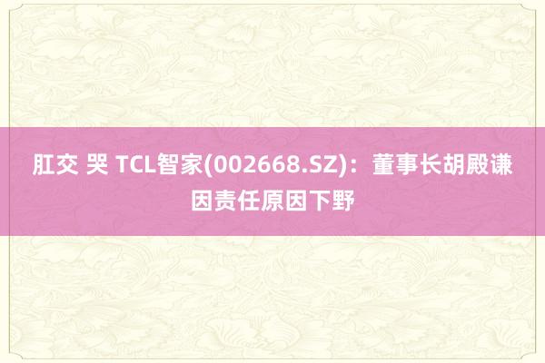 肛交 哭 TCL智家(002668.SZ)：董事长胡殿谦因责任原因下野