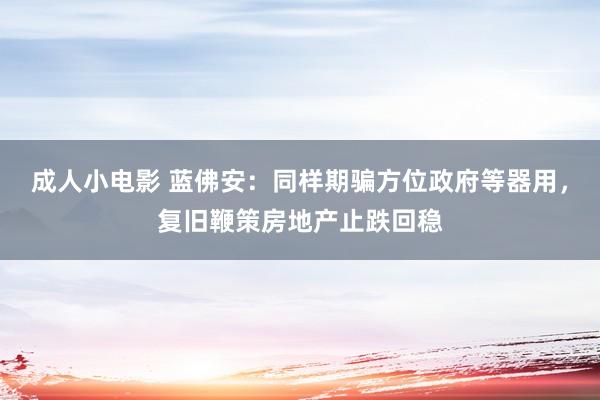 成人小电影 蓝佛安：同样期骗方位政府等器用，复旧鞭策房地产止跌回稳