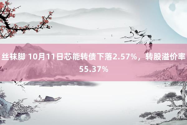 丝袜脚 10月11日芯能转债下落2.57%，转股溢价率55.37%