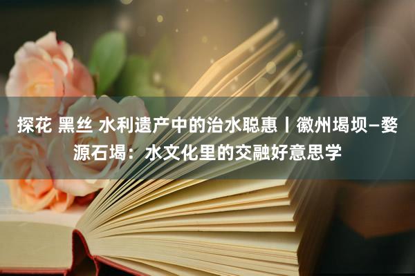 探花 黑丝 水利遗产中的治水聪惠丨徽州堨坝—婺源石堨：水文化里的交融好意思学