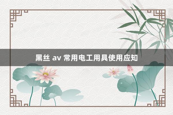 黑丝 av 常用电工用具使用应知