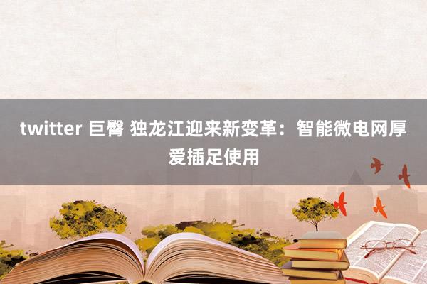 twitter 巨臀 独龙江迎来新变革：智能微电网厚爱插足使用