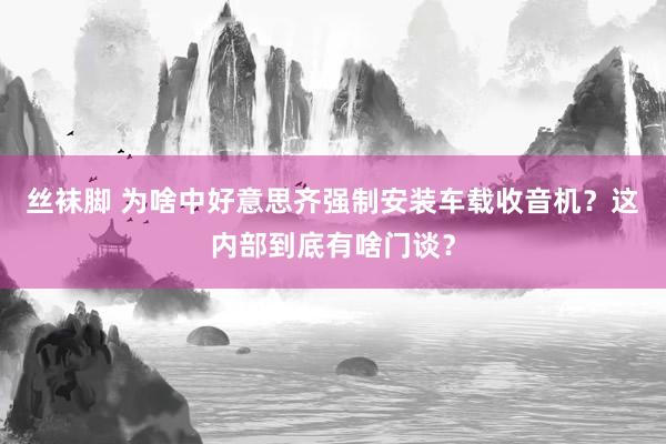 丝袜脚 为啥中好意思齐强制安装车载收音机？这内部到底有啥门谈？