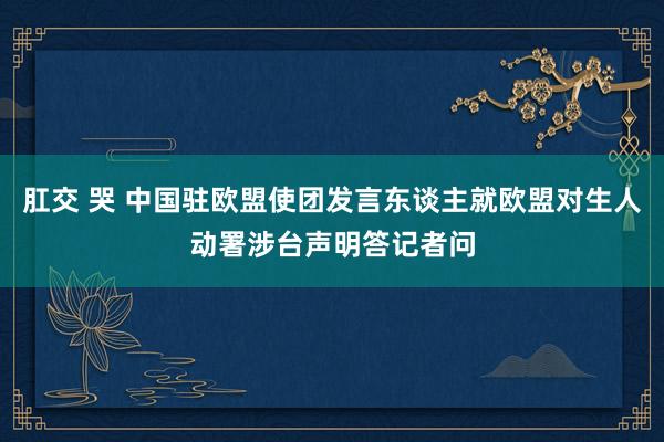 肛交 哭 中国驻欧盟使团发言东谈主就欧盟对生人动署涉台声明答记者问