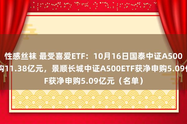 性感丝袜 最受喜爱ETF：10月16日国泰中证A500ETF获净申购11.38亿元，景顺长城中证A500ETF获净申购5.09亿元（名单）