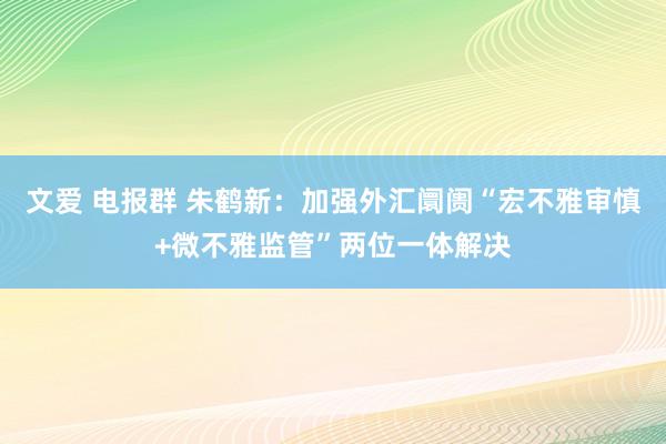 文爱 电报群 朱鹤新：加强外汇阛阓“宏不雅审慎+微不雅监管”两位一体解决