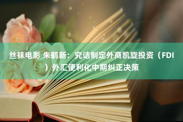 丝袜电影 朱鹤新：究诘制定外商凯旋投资（FDI）外汇便利化中期纠正决策