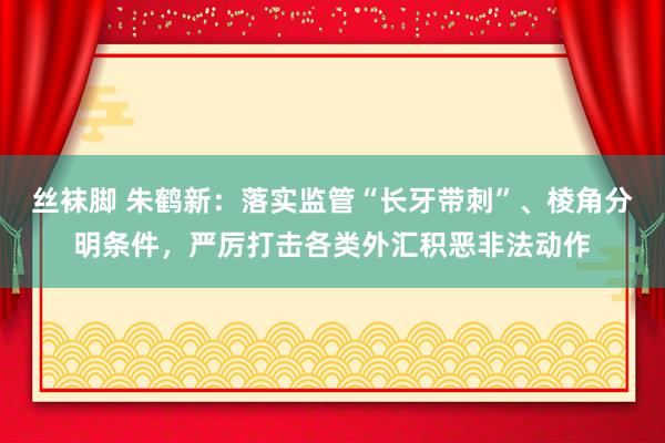 丝袜脚 朱鹤新：落实监管“长牙带刺”、棱角分明条件，严厉打击各类外汇积恶非法动作