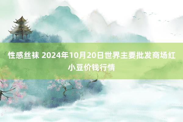 性感丝袜 2024年10月20日世界主要批发商场红小豆价钱行情