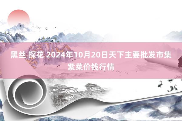 黑丝 探花 2024年10月20日天下主要批发市集紫菜价钱行情