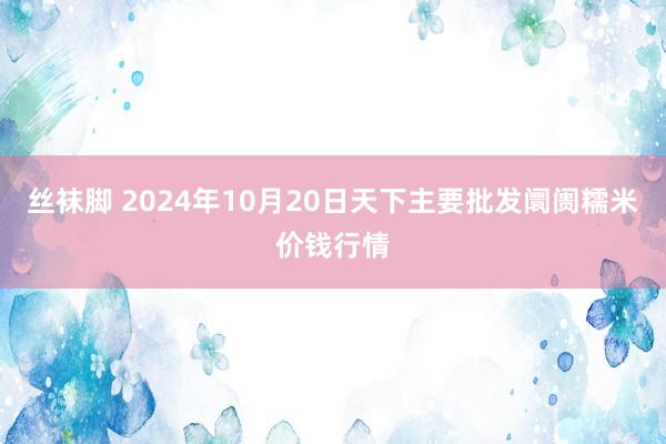 丝袜脚 2024年10月20日天下主要批发阛阓糯米价钱行情