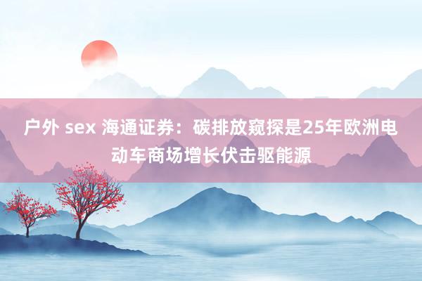 户外 sex 海通证券：碳排放窥探是25年欧洲电动车商场增长伏击驱能源