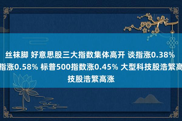 丝袜脚 好意思股三大指数集体高开 谈指涨0.38% 纳指涨0.58% 标普500指数涨0.45% 大型科技股浩繁高涨