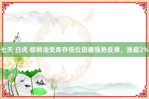 七天 白虎 棕榈油受库存低位因循强势反弹，涨超2%