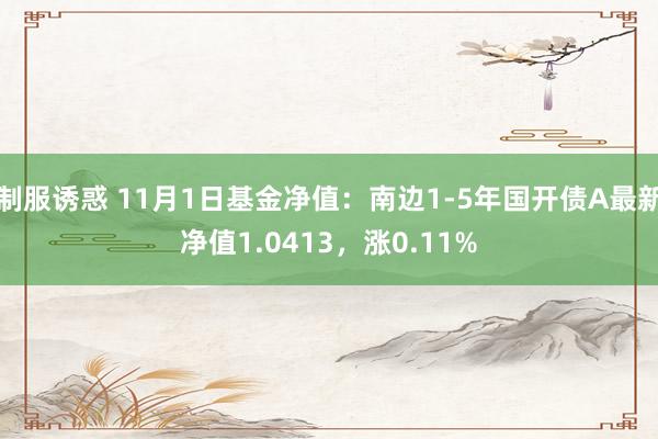 制服诱惑 11月1日基金净值：南边1-5年国开债A最新净值1.0413，涨0.11%