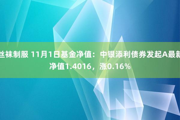 丝袜制服 11月1日基金净值：中银添利债券发起A最新净值1.4016，涨0.16%