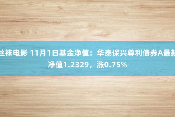 丝袜电影 11月1日基金净值：华泰保兴尊利债券A最新净值1.2329，涨0.75%