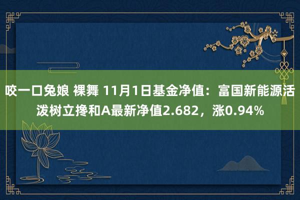 咬一口兔娘 裸舞 11月1日基金净值：富国新能源活泼树立搀和A最新净值2.682，涨0.94%