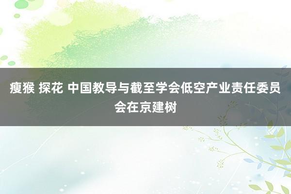 瘦猴 探花 中国教导与截至学会低空产业责任委员会在京建树