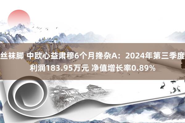 丝袜脚 中欧心益肃穆6个月搀杂A：2024年第三季度利润183.95万元 净值增长率0.89%