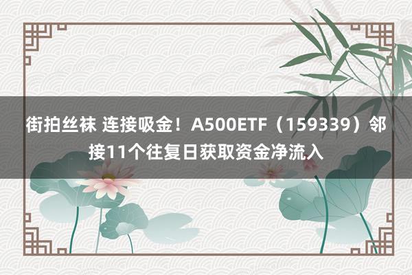 街拍丝袜 连接吸金！A500ETF（159339）邻接11个往复日获取资金净流入