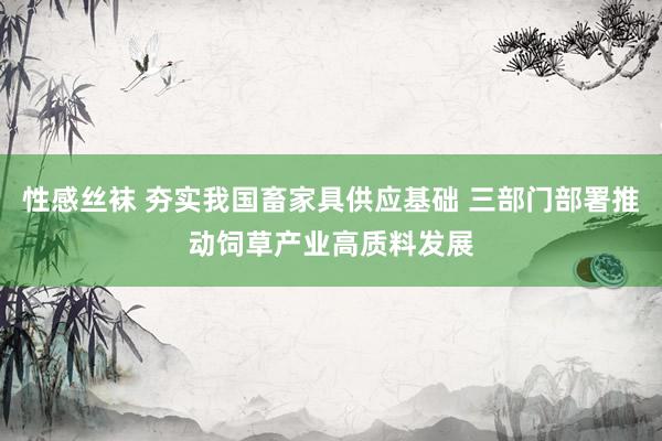 性感丝袜 夯实我国畜家具供应基础 三部门部署推动饲草产业高质料发展