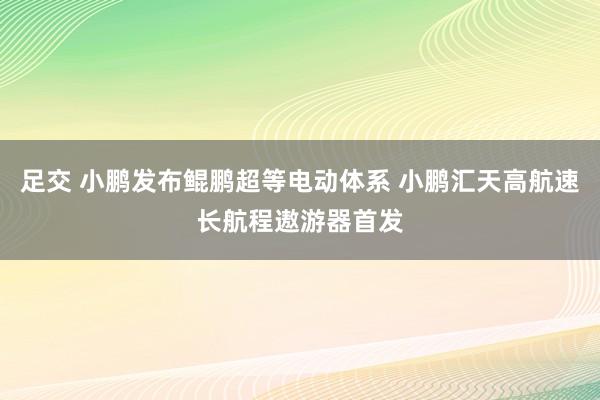 足交 小鹏发布鲲鹏超等电动体系 小鹏汇天高航速长航程遨游器首发