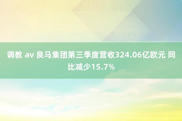 调教 av 良马集团第三季度营收324.06亿欧元 同比减少15.7%