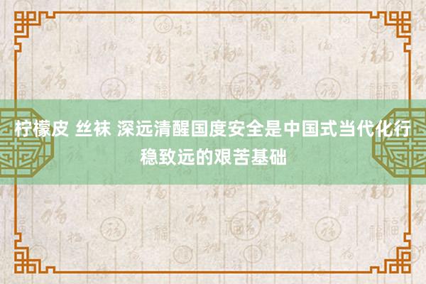 柠檬皮 丝袜 深远清醒国度安全是中国式当代化行稳致远的艰苦基础