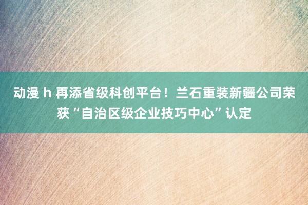 动漫 h 再添省级科创平台！兰石重装新疆公司荣获“自治区级企业技巧中心”认定