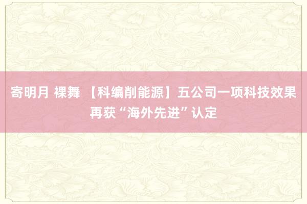 寄明月 裸舞 【科编削能源】五公司一项科技效果再获“海外先进”认定