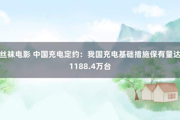 丝袜电影 中国充电定约：我国充电基础措施保有量达1188.4万台