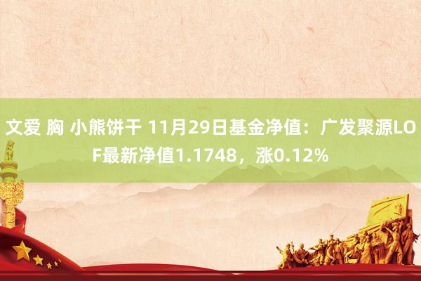 文爱 胸 小熊饼干 11月29日基金净值：广发聚源LOF最新净值1.1748，涨0.12%